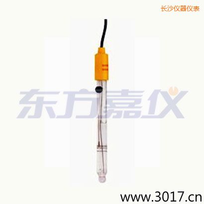 長沙可填充玻璃管電極