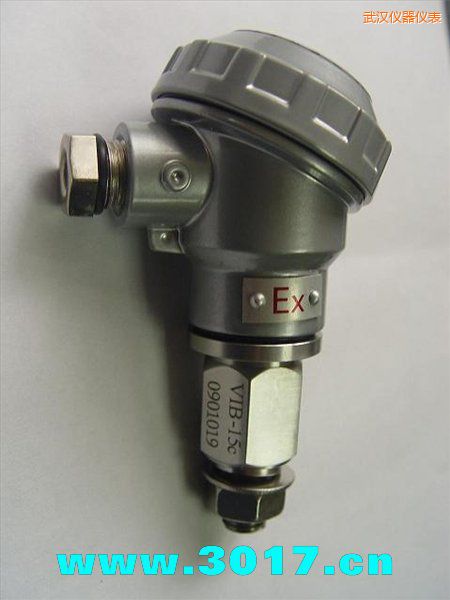 武漢振動信號變送器