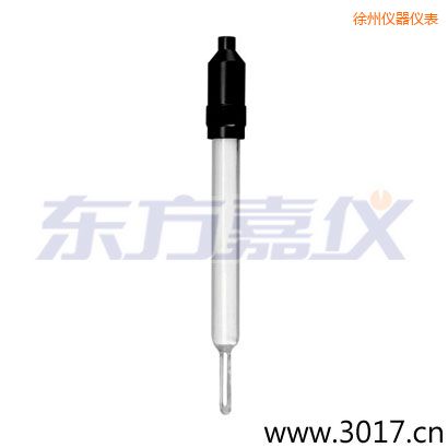 徐州玻璃外殼無溫補(bǔ)兩線電導(dǎo)率電極