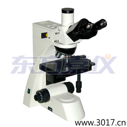 ���ý����@΢�R